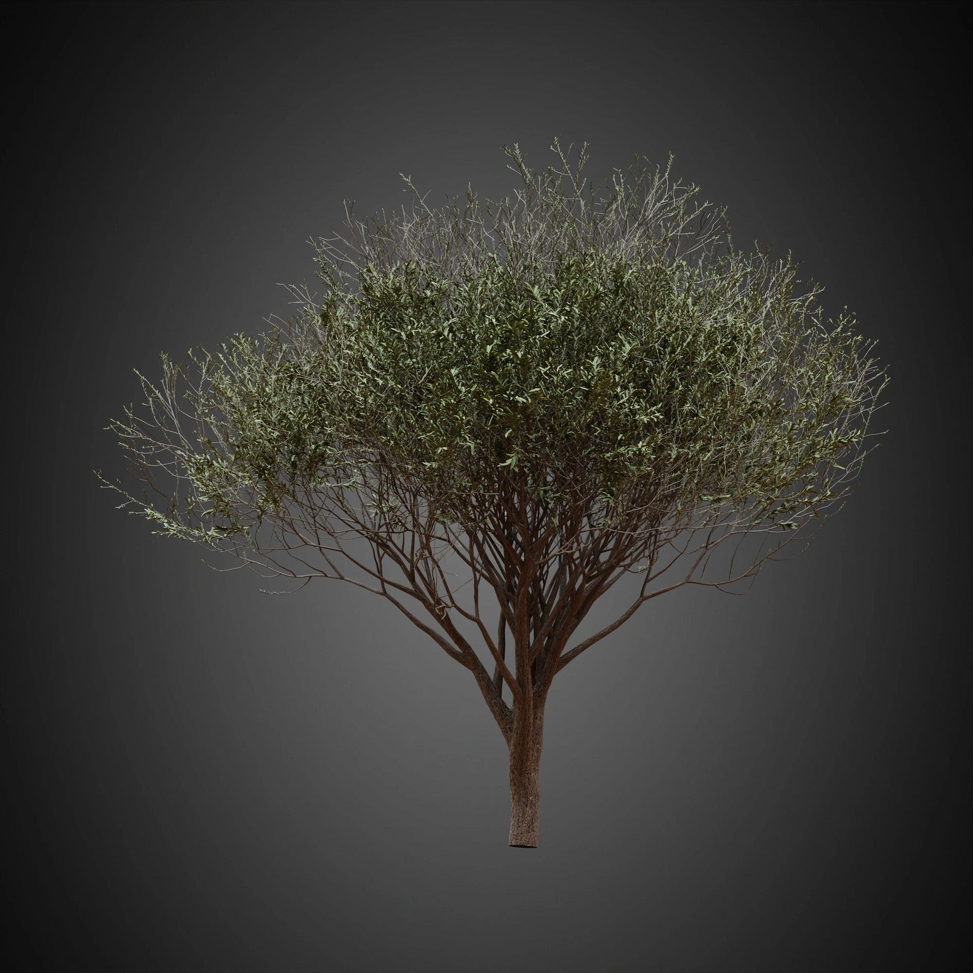 009 — Скачать