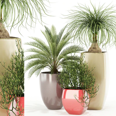 Plants collection 101 Awesomeplanters — Вид 1