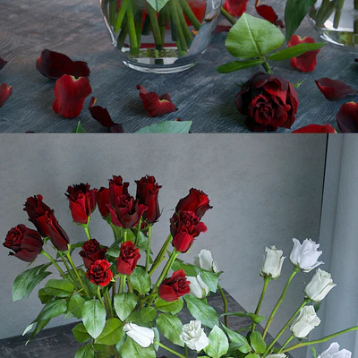 Red and white roses — Ver 2