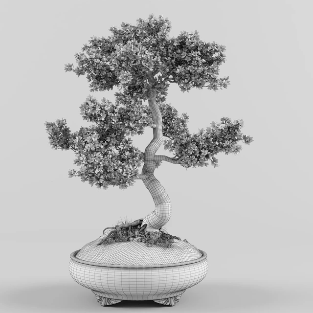 Sakura Bonsai tree — Скачать