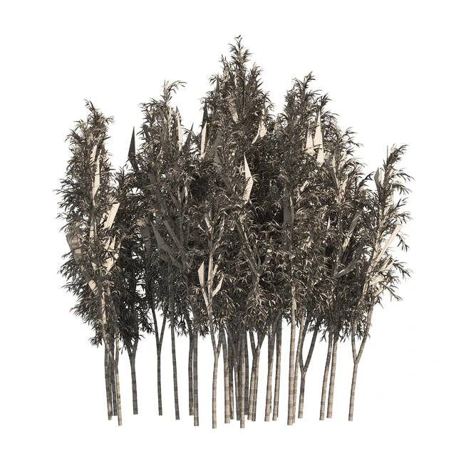 2 Bamboo Clusters — Descargar