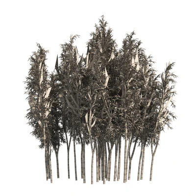 2 Bamboo Clusters — Ver 3