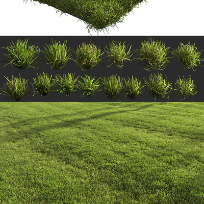 Lawn landscape — Вид 4