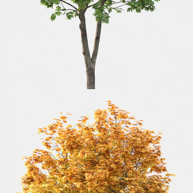 Acer — Скачать