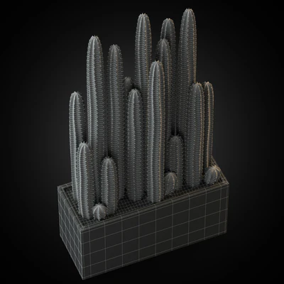 Plants collection 260 — Вид 3