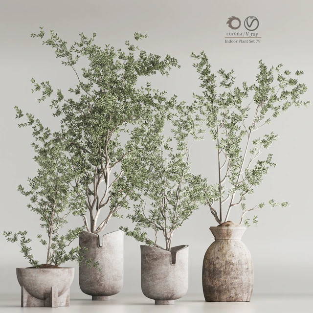 Indoor Plant Set 79 — Descargar