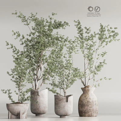 Indoor Plant Set 79 — Ver 6