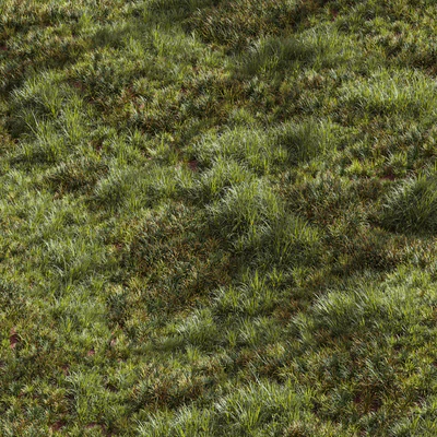 Meadow Lawn Grassland Set 002 — Ver 1