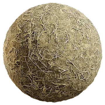 grass dried 065 — Download