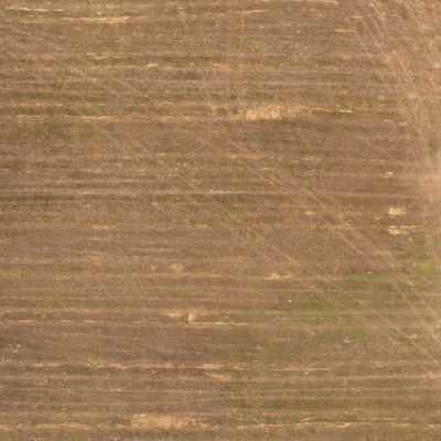 field summer 041 — Скачать