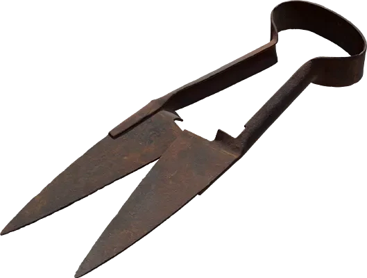 rusty sheep scissors 001 — Descargar
