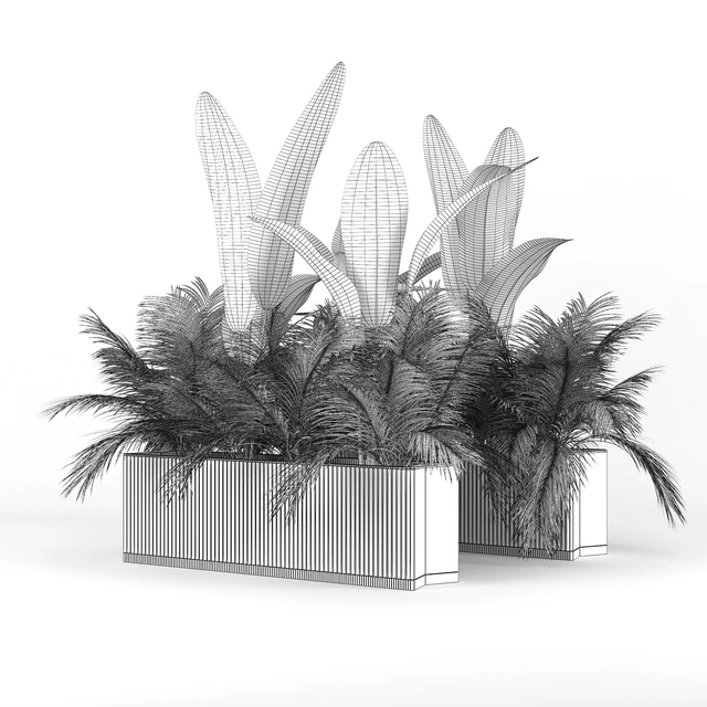 Flowerbed Palm Two — Descargar