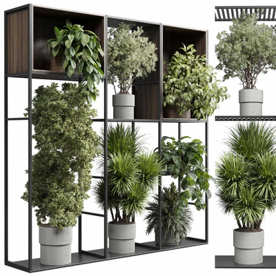 Standing metal shelf with a set of plants in wooden and metal boxes 419 — Вид 4