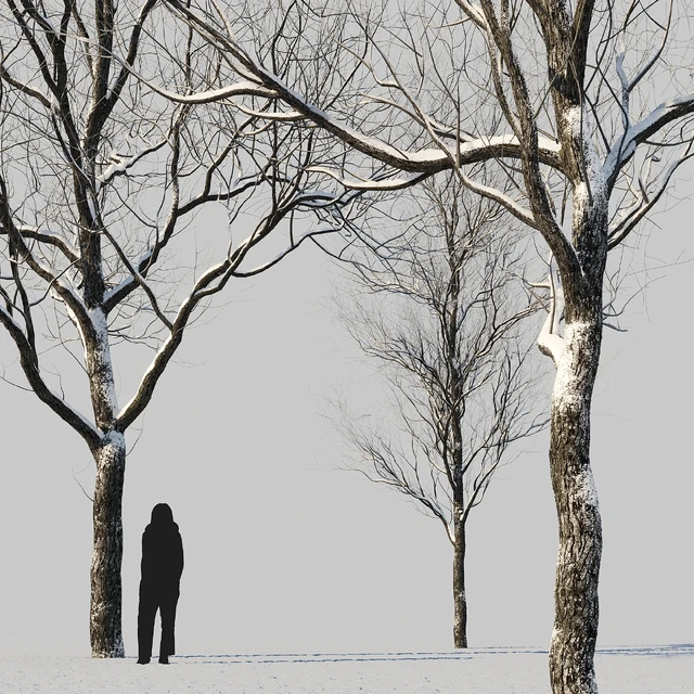 snow-covered trees — Descargar