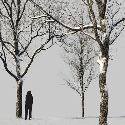 snow-covered trees — Ver 4