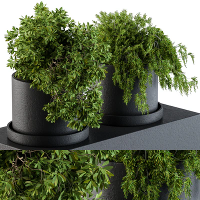 Plants set 47 — Вид 1