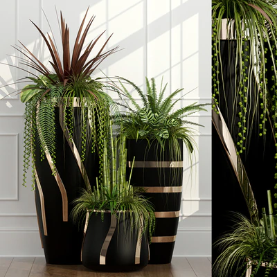 Room plants 15 — Ver 1