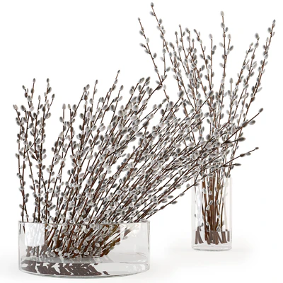 Branches in a vase 006 — Ver 1