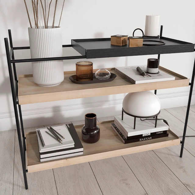 Woud Shelves with Decorative Filling — Descargar