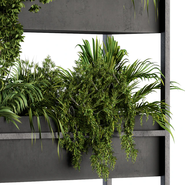 Black Box Plants on stand 05 — Скачать