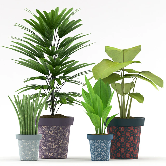 Plants 114 — Скачать