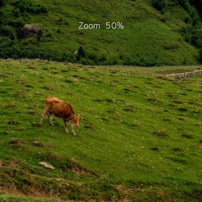 Mountain village. Panorama 35k — Ver 3