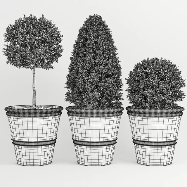 Buxus two — Descargar
