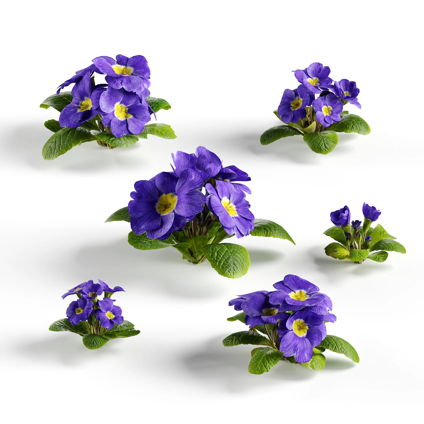 flowers and weeds 002 — Descargar