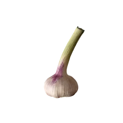 garlic 001 — Descargar