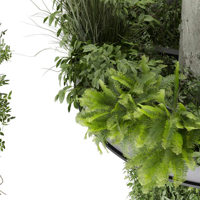 Collection plant vol 532 - bush - ampelous - column - fitowall - ivy — Скачать