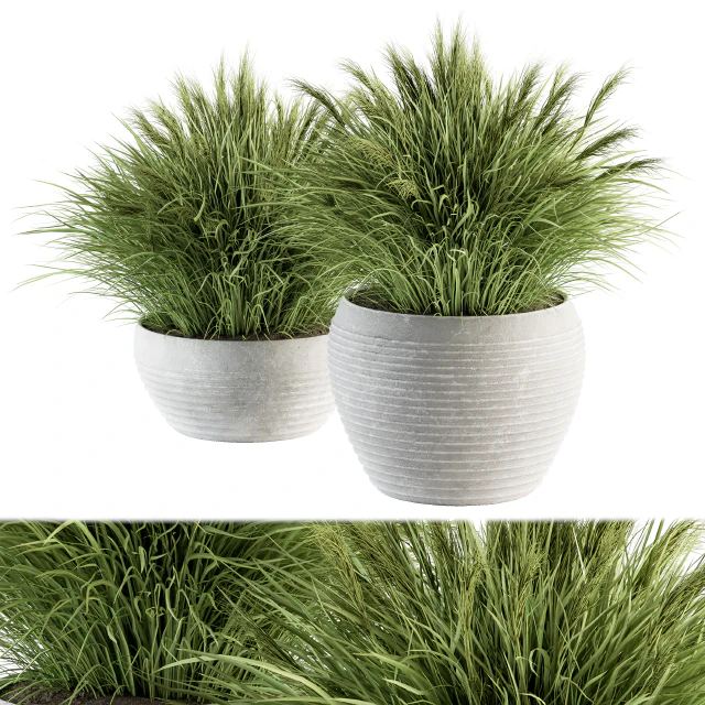 Outdoor Plant Set 196 - Green Grass in Pot — Descargar