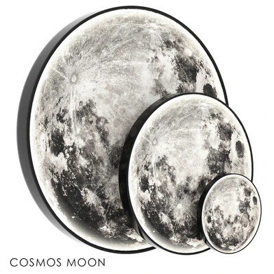 COSMOS MOON — Вид 4