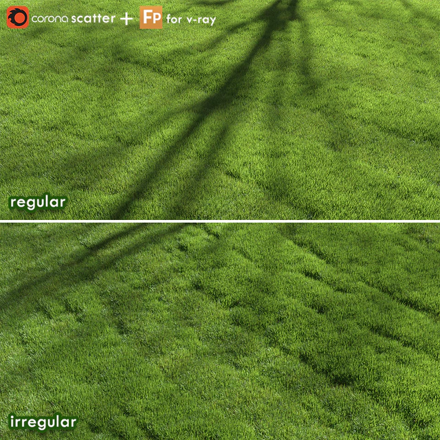 lawn grass — Descargar