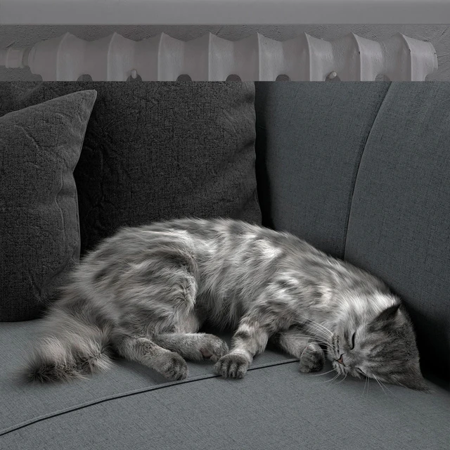 CAT — Descargar