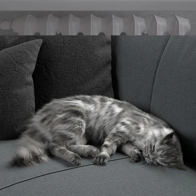CAT — Ver 2
