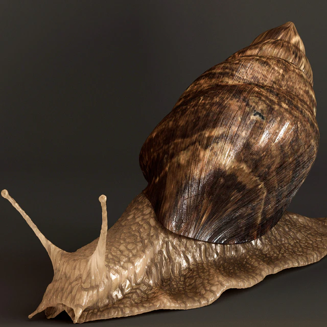 Snails — Скачать