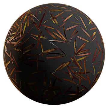 honey locust fruit 001 — Descargar