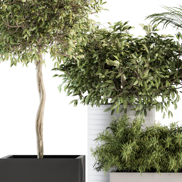 indoor Plant Set 188 - Plant Boxes — Скачать