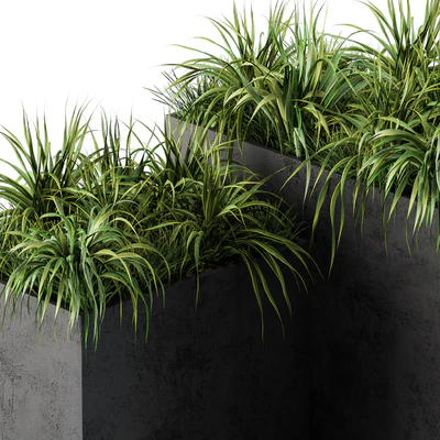 Outdoor Concrete Plant Box with Cereals and Green Grass — Вид 3