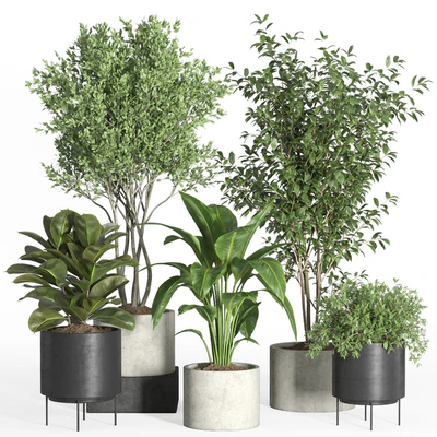 indoor plant set 35-concrete and metal pot — Вид 1