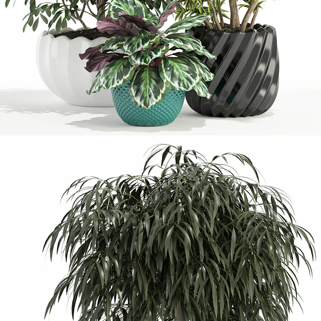 Plants collection 111 — Скачать