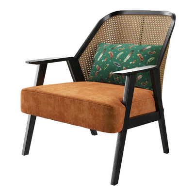 Roche Bobois Weg armchair — Вид 1