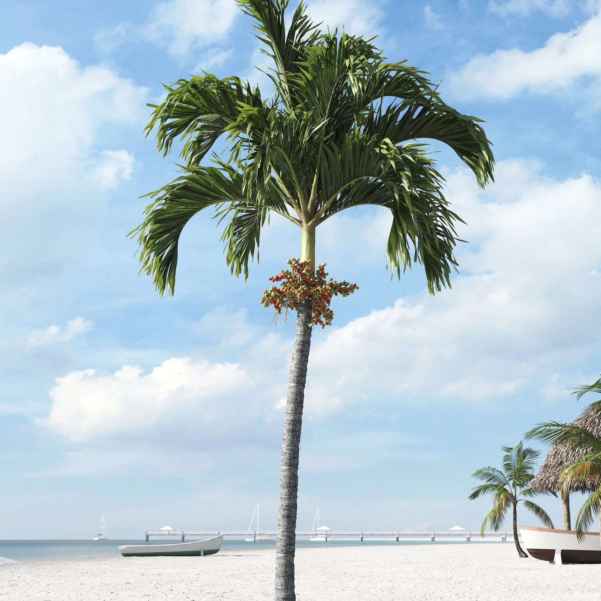 palm trees 002 — Descargar