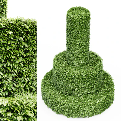 Dwarf Yaupon Holly - Cylinder plant — Ver 3