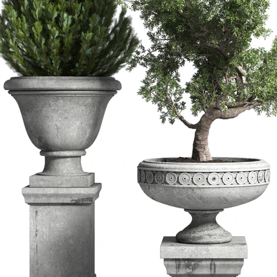 Collection Outdoor plant 44- tree thuja bonsai concrete old classic vase — Вид 2