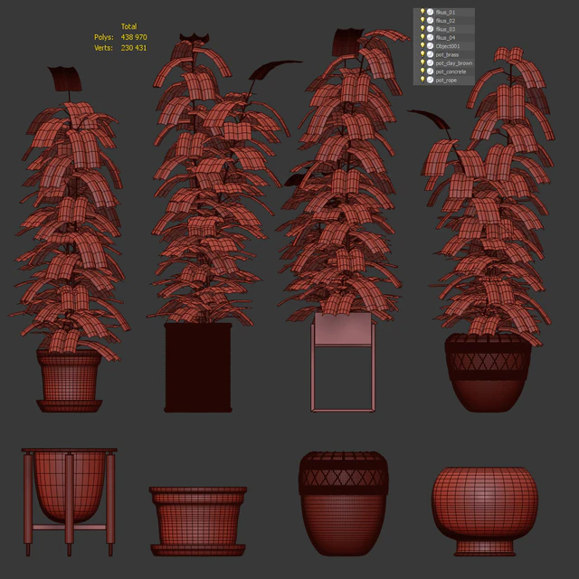 Ficuses in pots — Descargar