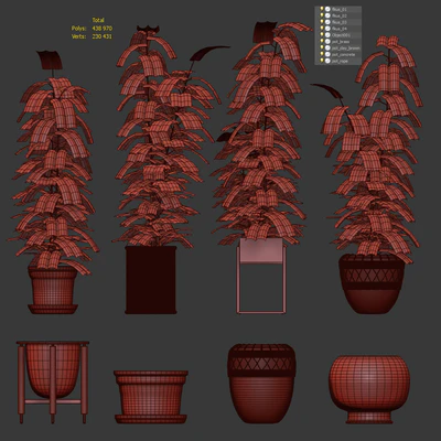 Ficuses in pots — Ver 2