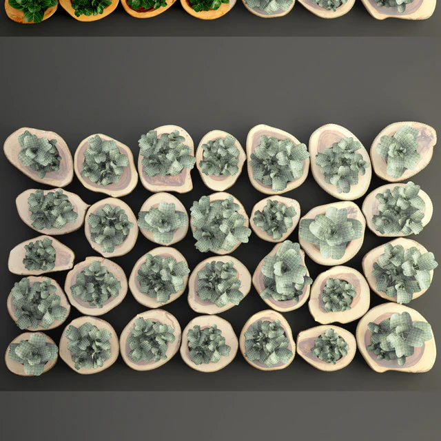 Vertical garden 8. Vertical garden, phyto wall, eco, eco-design, wall decor, green picture, panel, wooden cut, timber, phyto module — Descargar