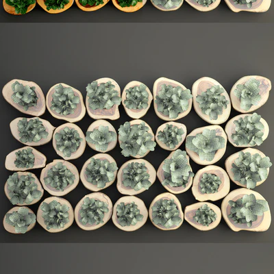 Vertical garden 8. Vertical garden, phyto wall, eco, eco-design, wall decor, green picture, panel, wooden cut, timber, phyto module — Ver 2
