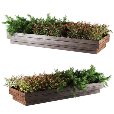 plant1101 — Ver 1